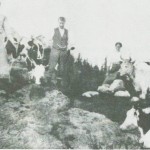 Dette bildet -fra ca. 1920 - er fra Øver Langsetvollen. Fra ven­stre Gina Størset, Karen Valstadberg, Nils Uglem, Johanna J. Langset, Jorun Langsetmo, Karen Dyrdal.