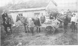 På seterveg i 1928 (kvil på Hoven). Beret-Marta Evjen til hest.