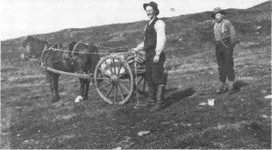 John J. Lien for med hest i fjellet både sommer og vinter, og var en framifrå kjører. Dette er sommeren 1915 eller 1916.