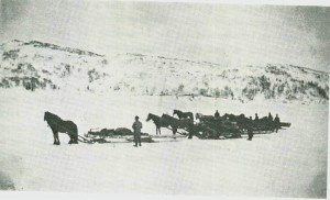 Tømmerkjøring ved Grønfjellet 1942.