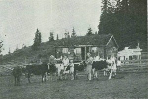 Sommervollen  1940. F.v.: Nelly Avelsgård, Anna Avelsgård, Inger Uglem, Inger Langlitrø og Brynhild Langlitrø. Foto: Garberg.