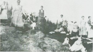 Dette bildet -fra ca. 1920 - er fra Øver Langsetvollen. Fra ven­stre Gina Størset, Karen Valstadberg, Nils Uglem, Johanna J. Langset, Jorun Langsetmo, Karen Dyrdal.