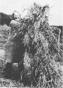 Beret Anna Mebust legger øverste kornbandet på stauren.